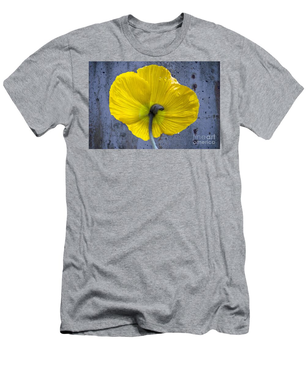 Poppy T-Shirt featuring the photograph Delicate and Strong by Heiko Koehrer-Wagner