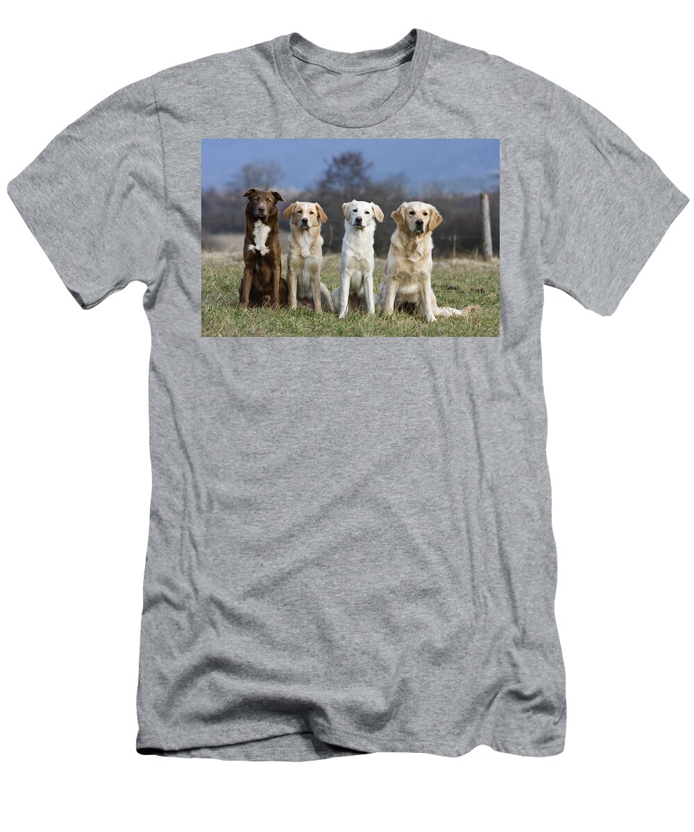 Mp T-Shirt featuring the photograph Domestic Dog Canis Familiaris Group by Konrad Wothe