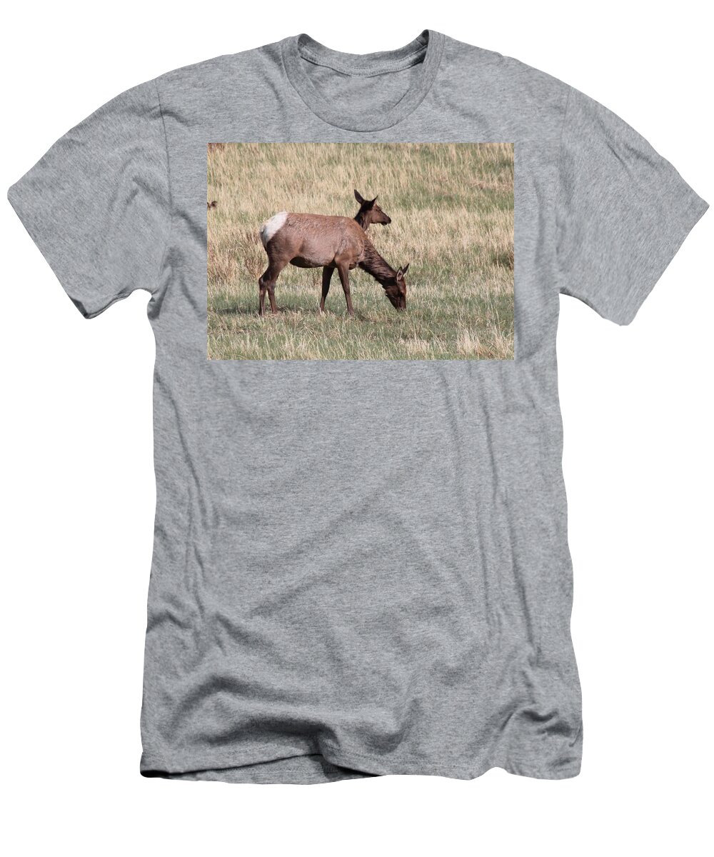 Elk T-Shirt featuring the photograph Double Vision by Shane Bechler
