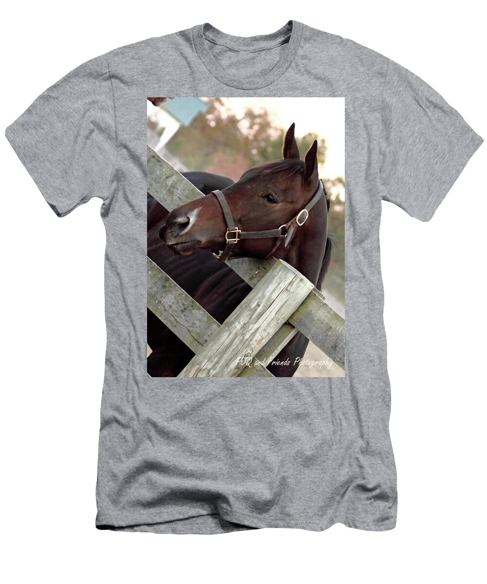 Pjq And Friends Photography T-Shirt featuring the photograph 'Dreamcakes' by PJQandFriends Photography