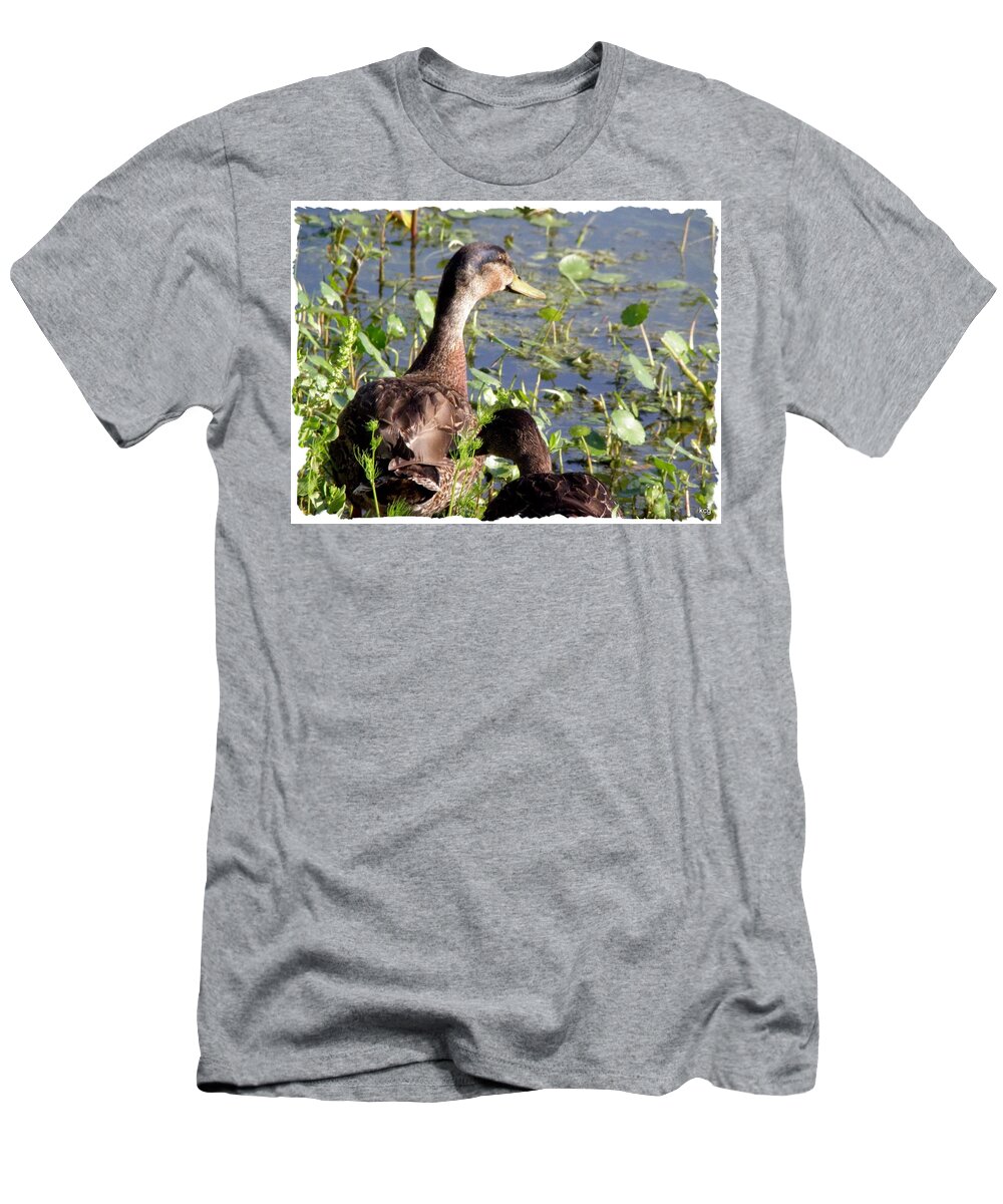 Ducks T-Shirt featuring the photograph Ducks Ashore by Kim Galluzzo