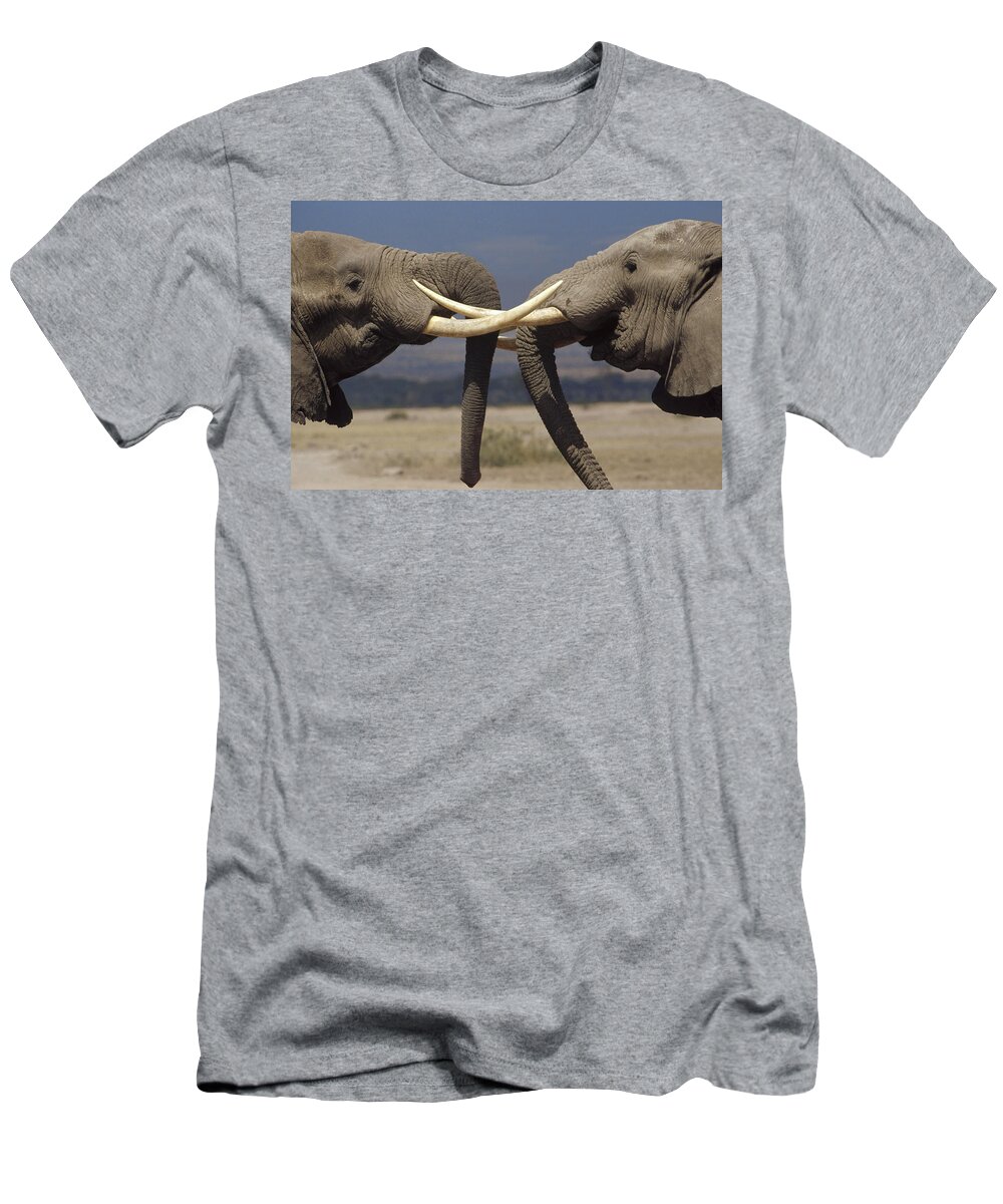 002201029 T-Shirt featuring the photograph Elephant Bulls in Ritual Greeting by Gerry Ellis