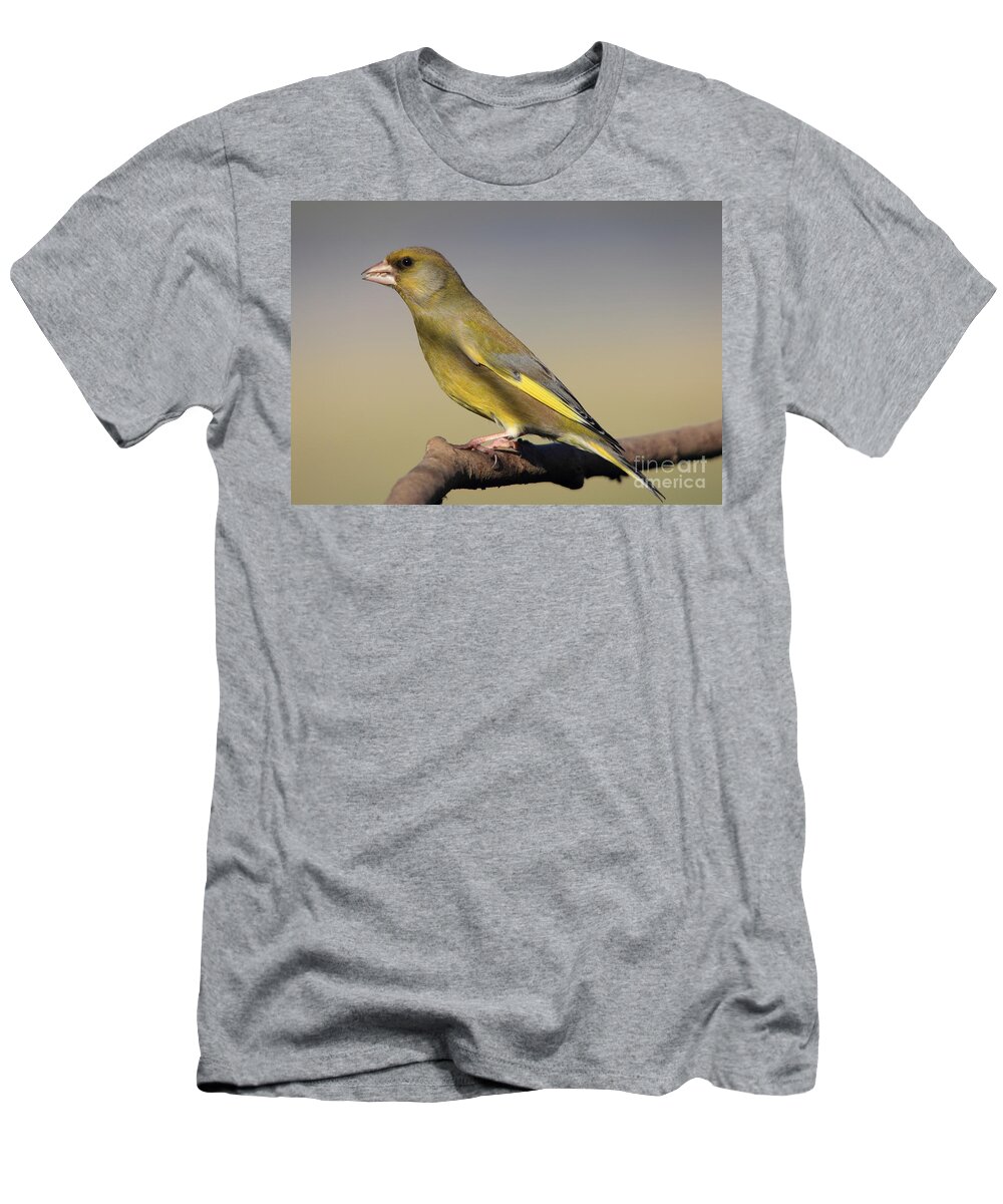 Greenfinch T-Shirt featuring the photograph European Greenfinch by Maria Gaellman