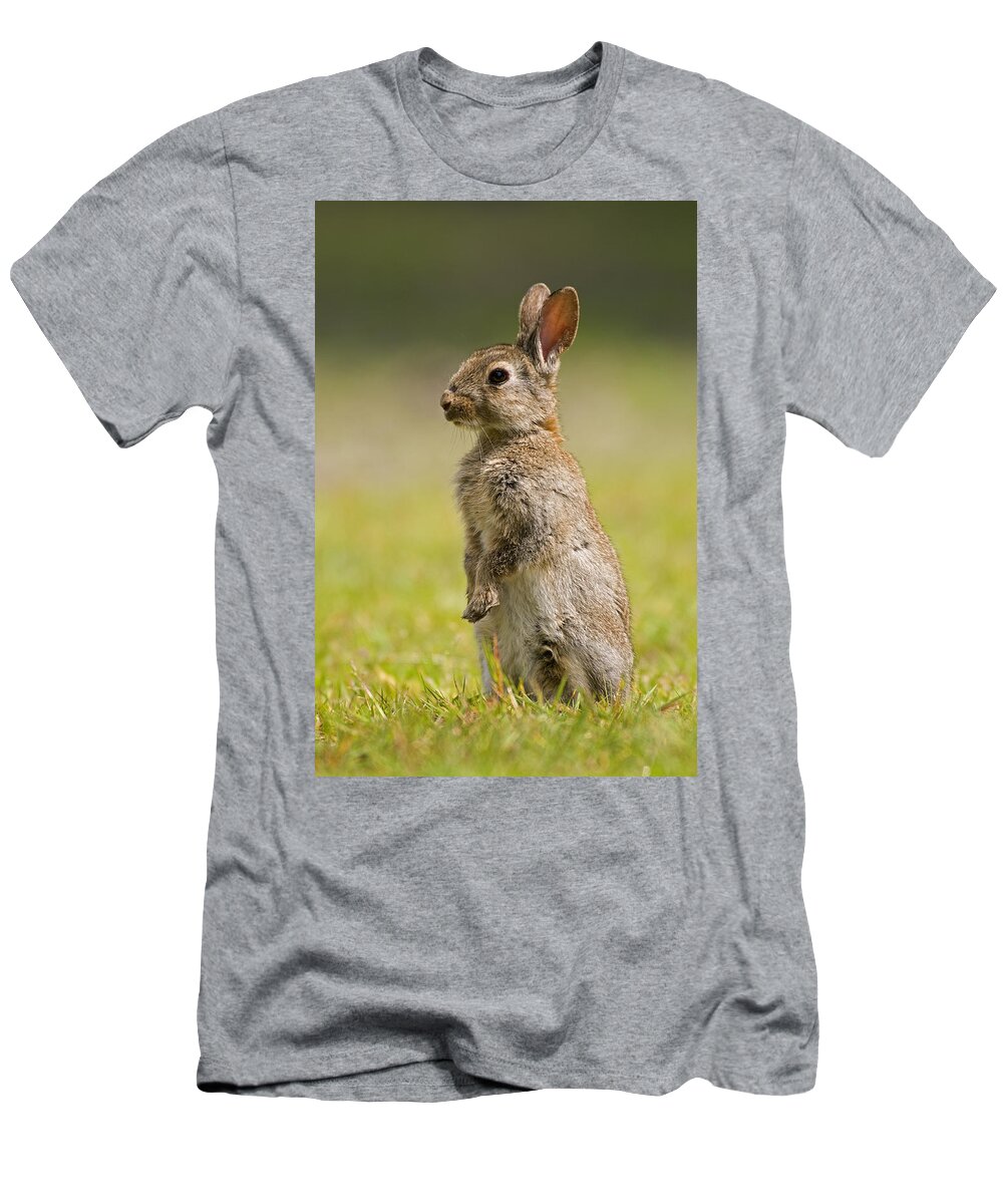 Fn T-Shirt featuring the photograph European Rabbit Oryctolagus Cuniculus by Marcel van Kammen