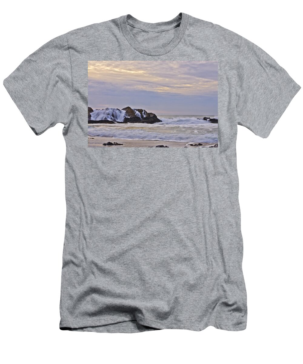 Waves T-Shirt featuring the photograph February Seascape by Priya Ghose