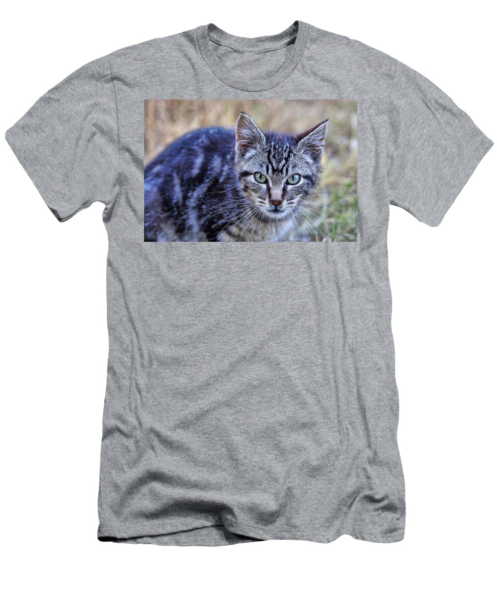 Tabby T-Shirt featuring the photograph Feral Kitten by Chriss Pagani