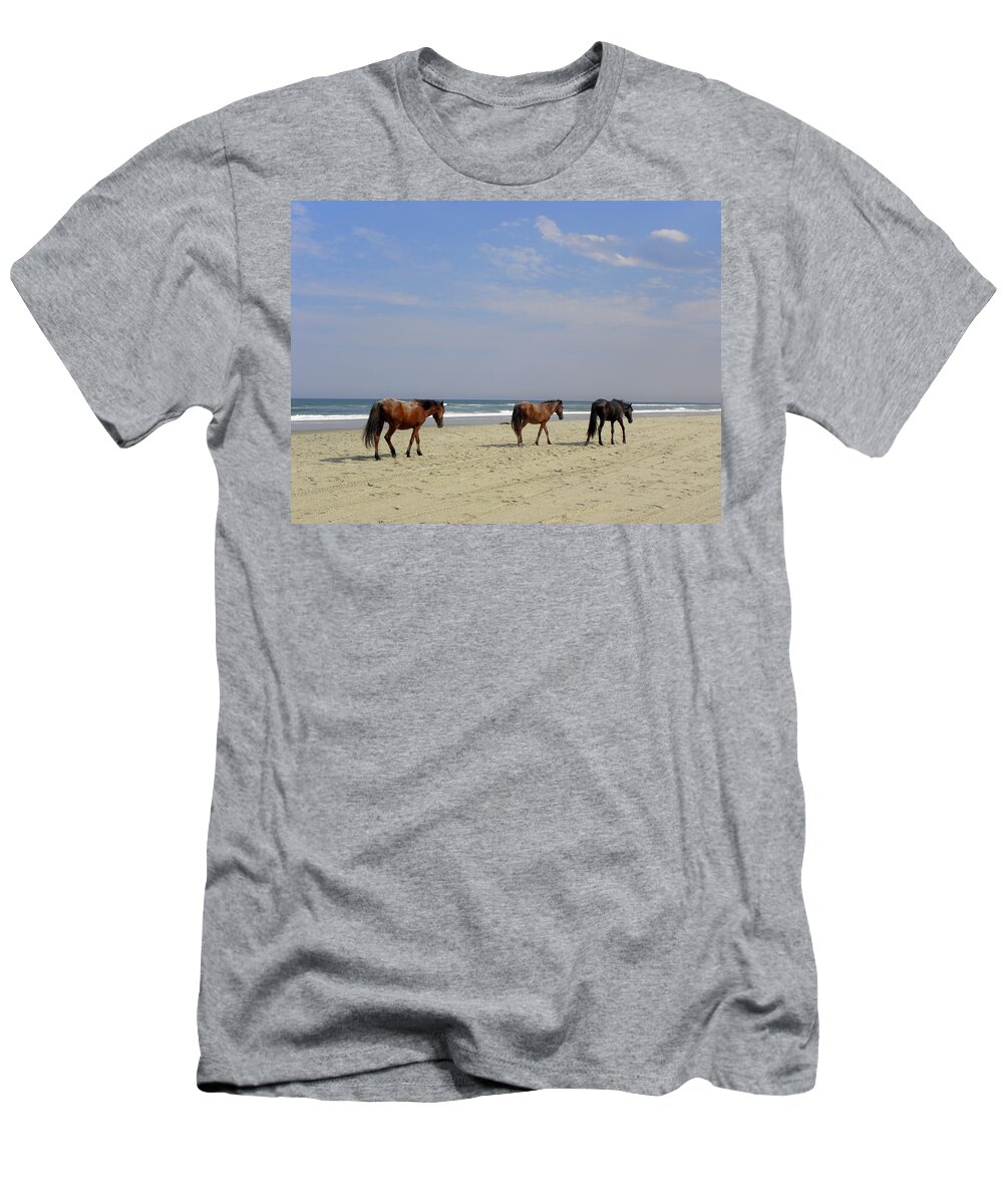 Wild Spanish Mustangs T-Shirt featuring the photograph Follow The Leader by Kim Galluzzo