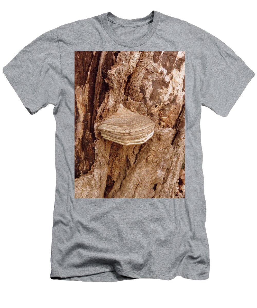 Fungi T-Shirt featuring the photograph Fungi by Kim Galluzzo