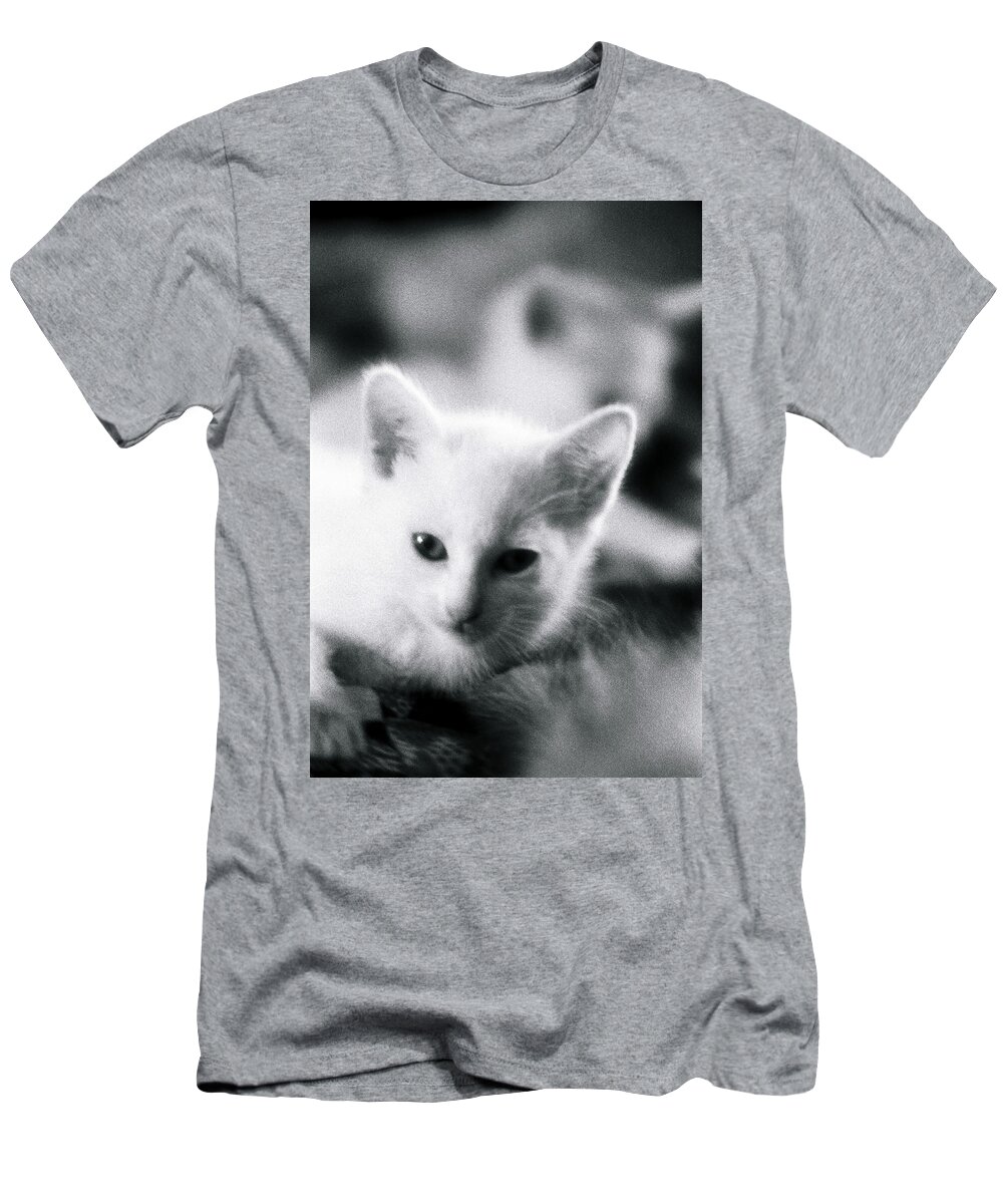 Cat T-Shirt featuring the photograph Ghost Kitties by Rory Siegel