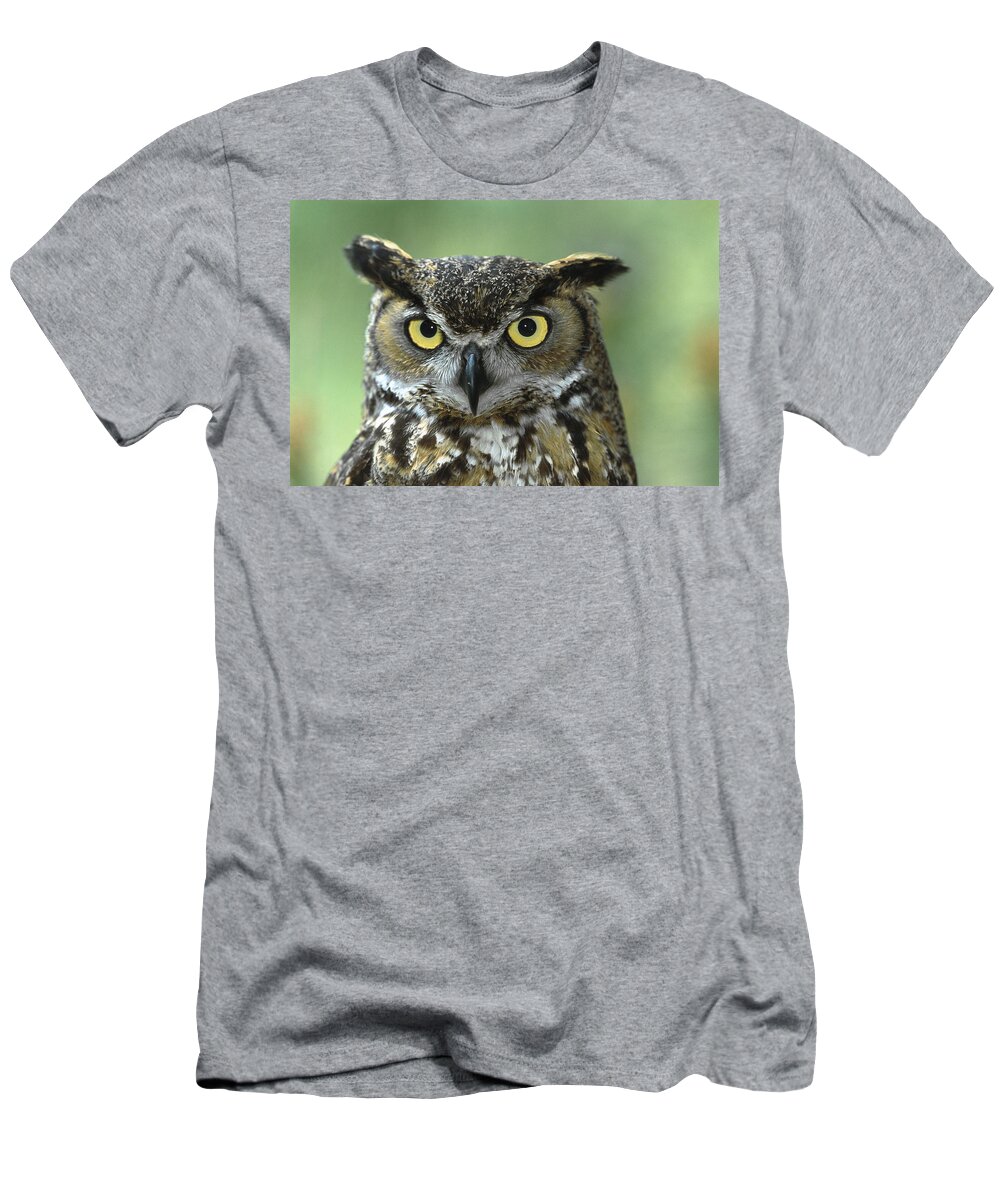 Bubo Virginianus T-Shirt featuring the photograph Great Horned Owl Bubo Virginianus by San Diego Zoo