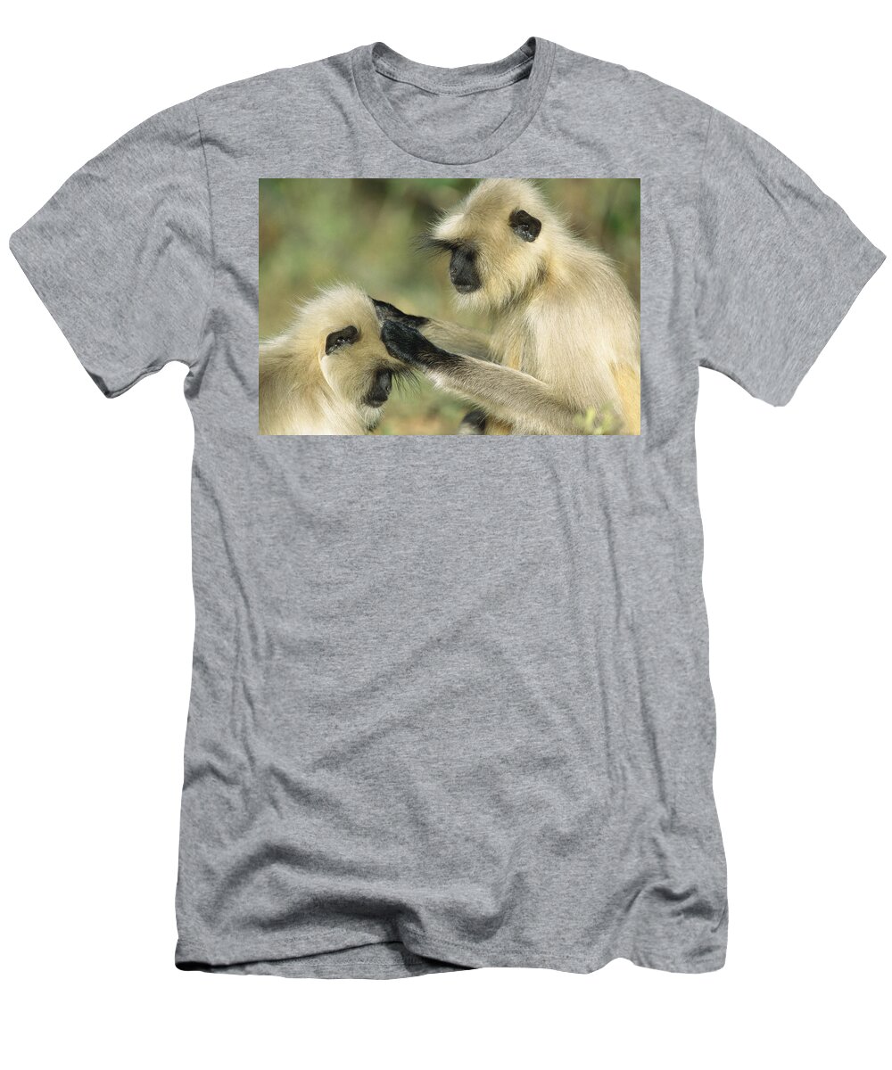 00620106 T-Shirt featuring the photograph Hanuman Langurs Grooming India by Cyril Ruoso