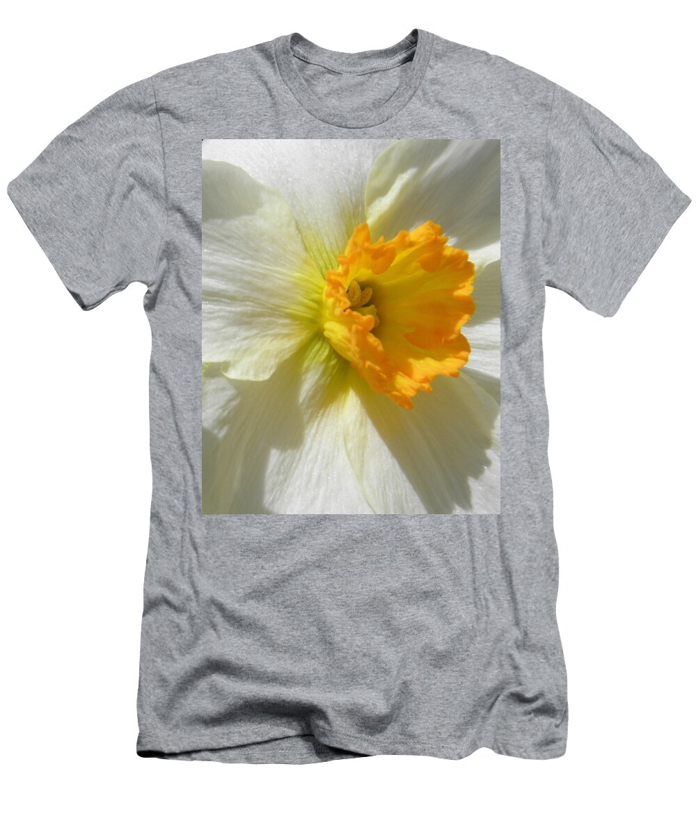 Daffodil T-Shirt featuring the photograph Here She Blooms by Kim Galluzzo