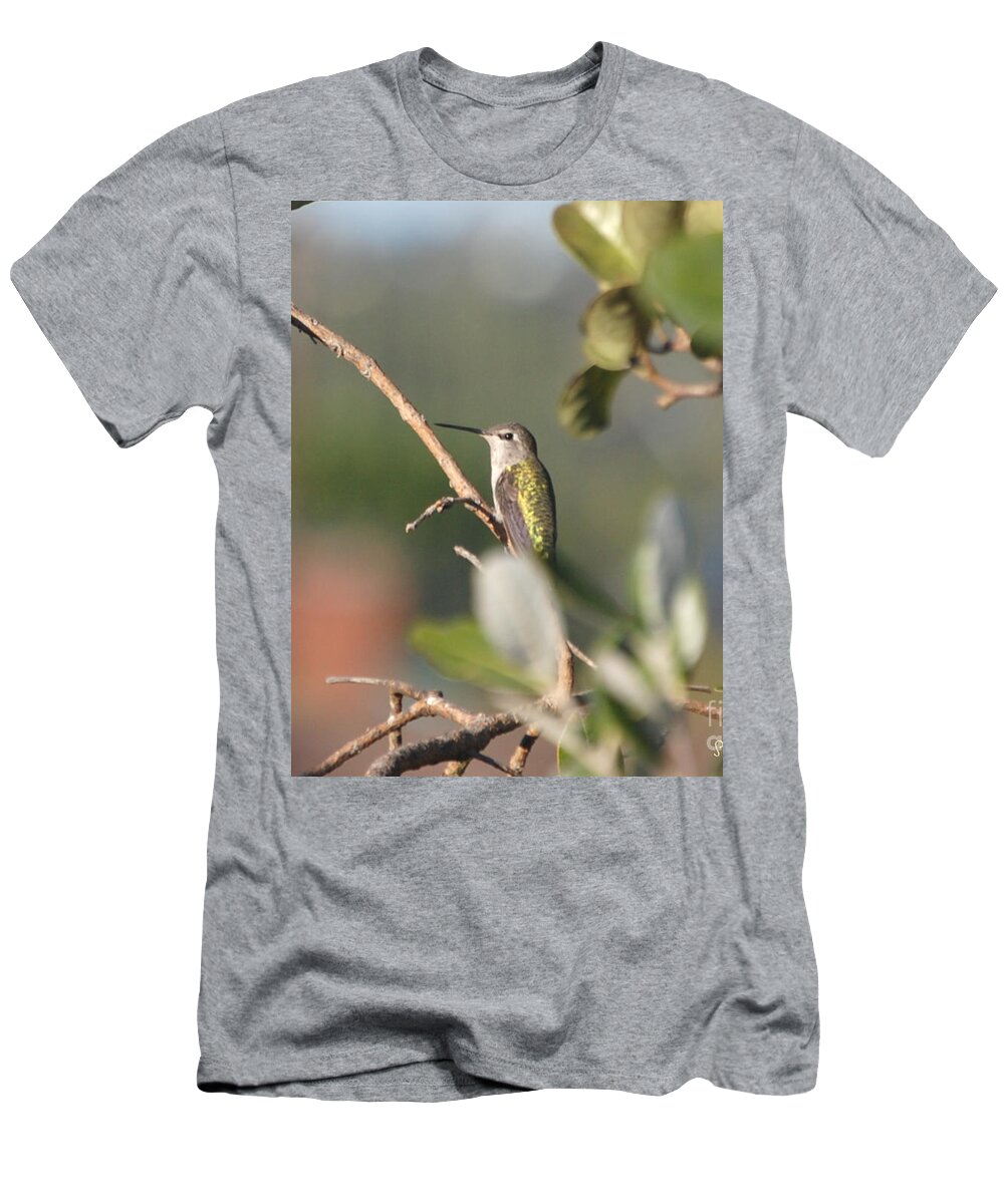 Anna's Hummingbird T-Shirt featuring the photograph Hummingbird Resting at Dusk by Susan Stevens Crosby