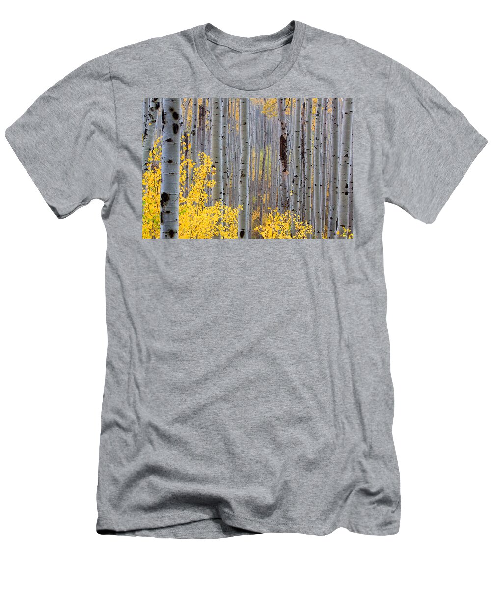 Autumn T-Shirt featuring the photograph In the Thick of Things by Jim Garrison