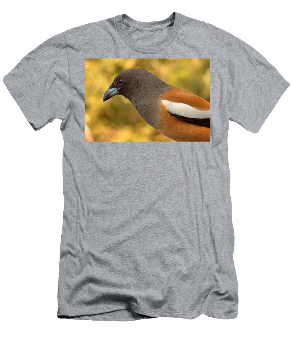 3003 T-Shirt featuring the photograph Indian Treepie. A portrait. by Fotosas Photography