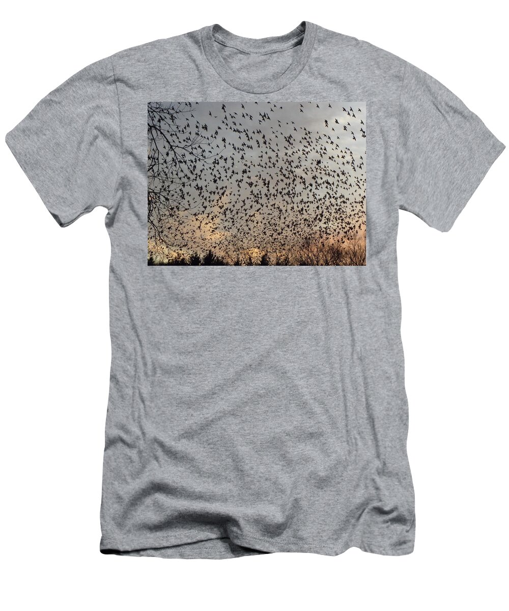 Starlings T-Shirt featuring the photograph Invasion Of The Birds by Kim Galluzzo