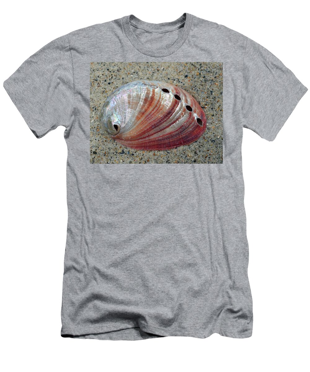 Shell T-Shirt featuring the photograph Iridescent Treasure Macro by Sandi OReilly