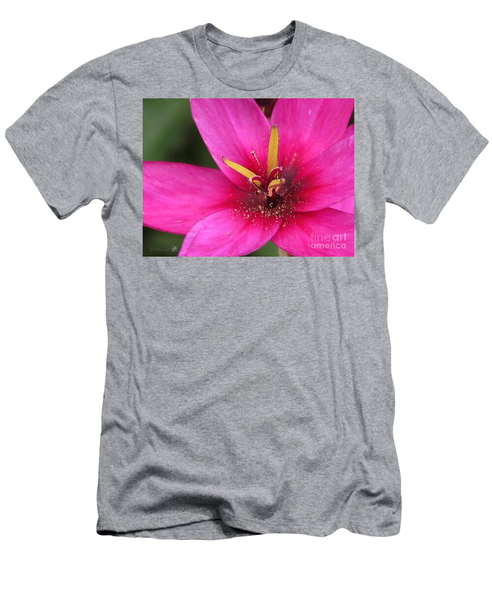 Ixia T-Shirt featuring the photograph Ixia named Venus by J McCombie