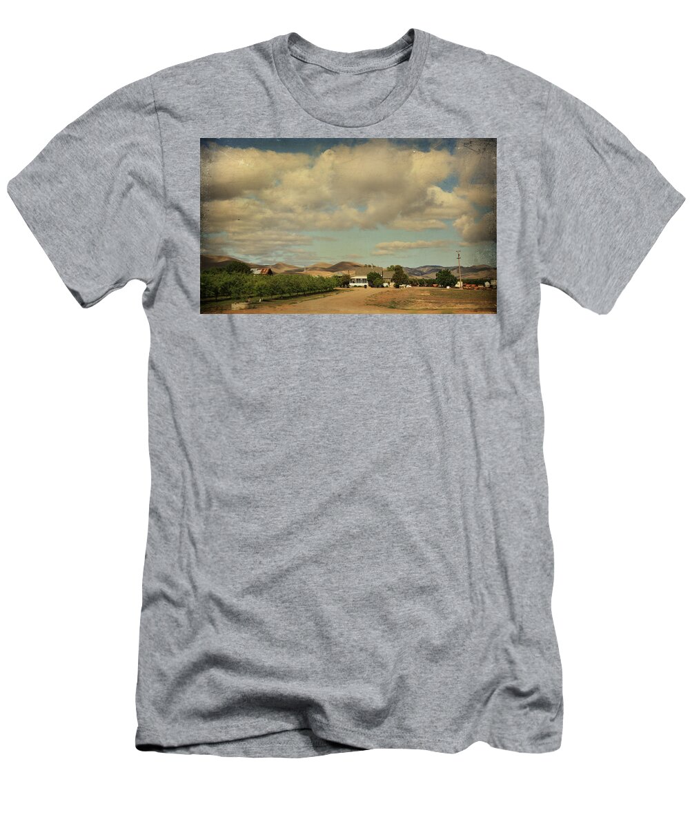 Landscapes T-Shirt featuring the photograph Let's Run Through the Orchard by Laurie Search