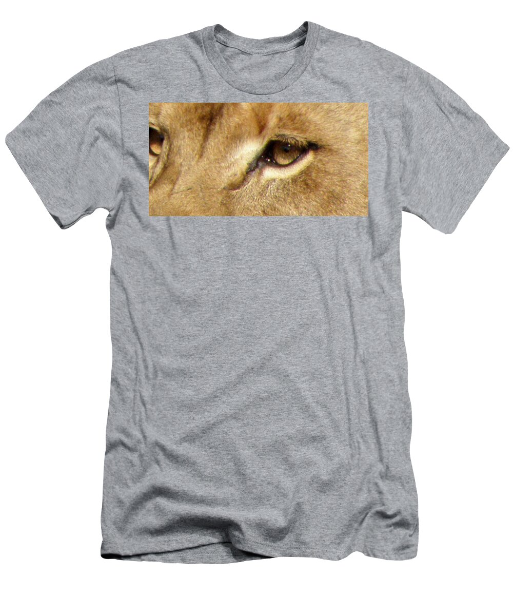 Lion T-Shirt featuring the photograph Lioness Eyes by Kim Galluzzo Wozniak
