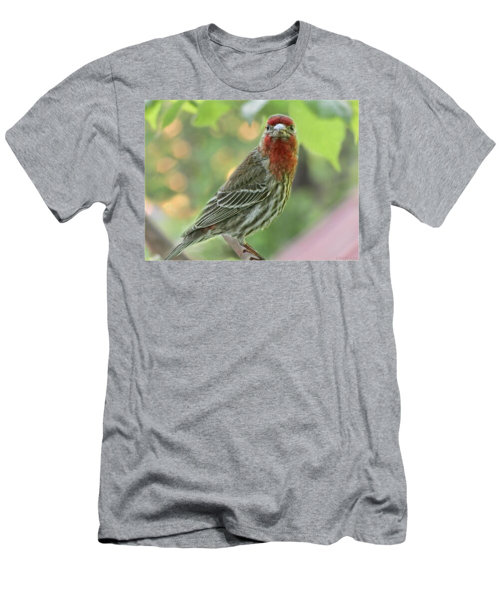 Nature T-Shirt featuring the photograph Male House Finch by Debbie Portwood