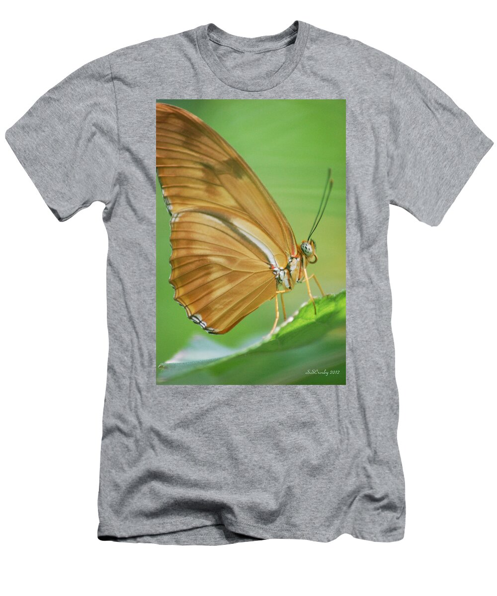 Julia Butterfly T-Shirt featuring the photograph Miss Julia by Susan Stevens Crosby