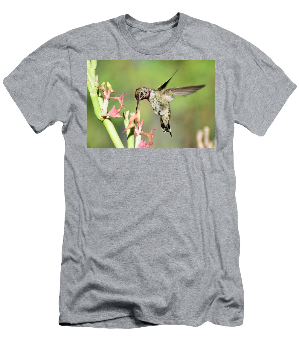 Hummingbird T-Shirt featuring the photograph Nature's Jewels by Saija Lehtonen