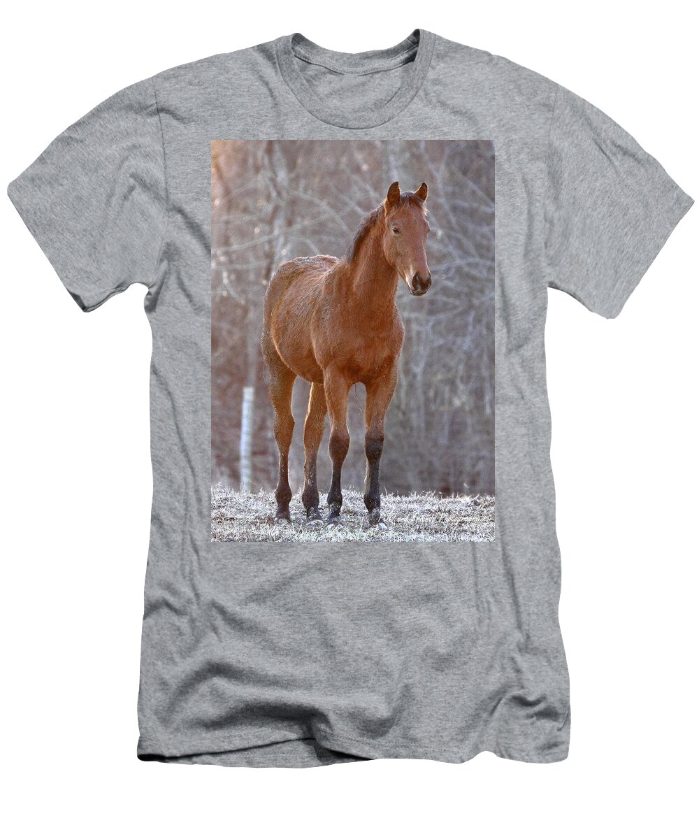  T-Shirt featuring the photograph 'One Day I Will Race' by PJQandFriends Photography