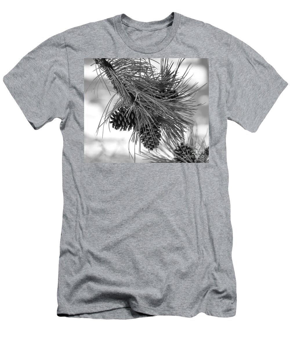 Pine Cones T-Shirt featuring the photograph Pine Cones by Dorrene BrownButterfield