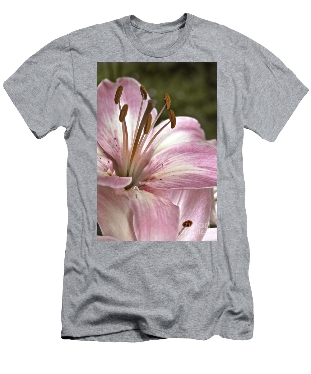 Agriculture T-Shirt featuring the photograph Pink Asiatic Lily by Danielle Summa