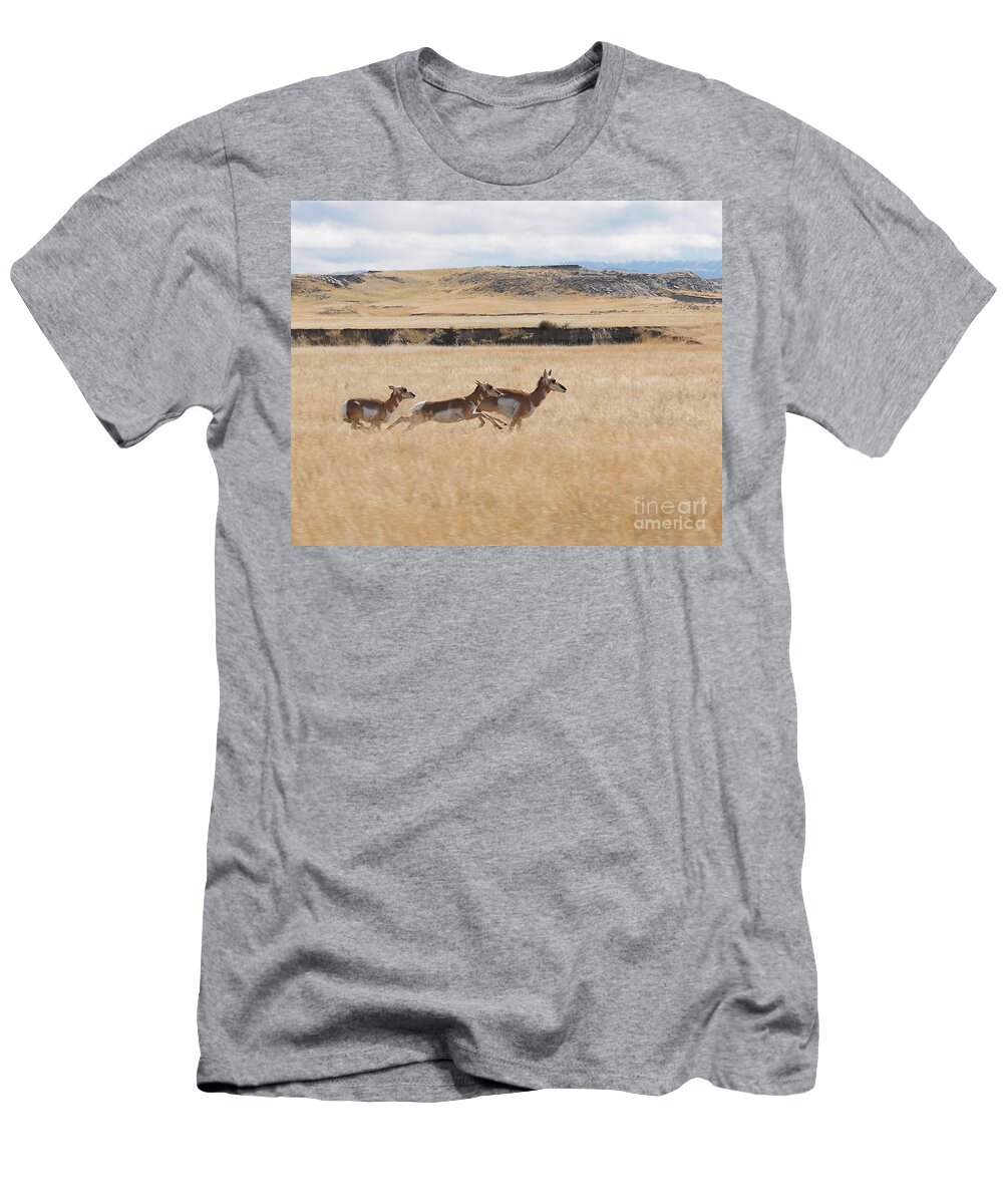 Pronghorn Antelope T-Shirt featuring the photograph Pronghorn Antelopes on the Run by Art Whitton