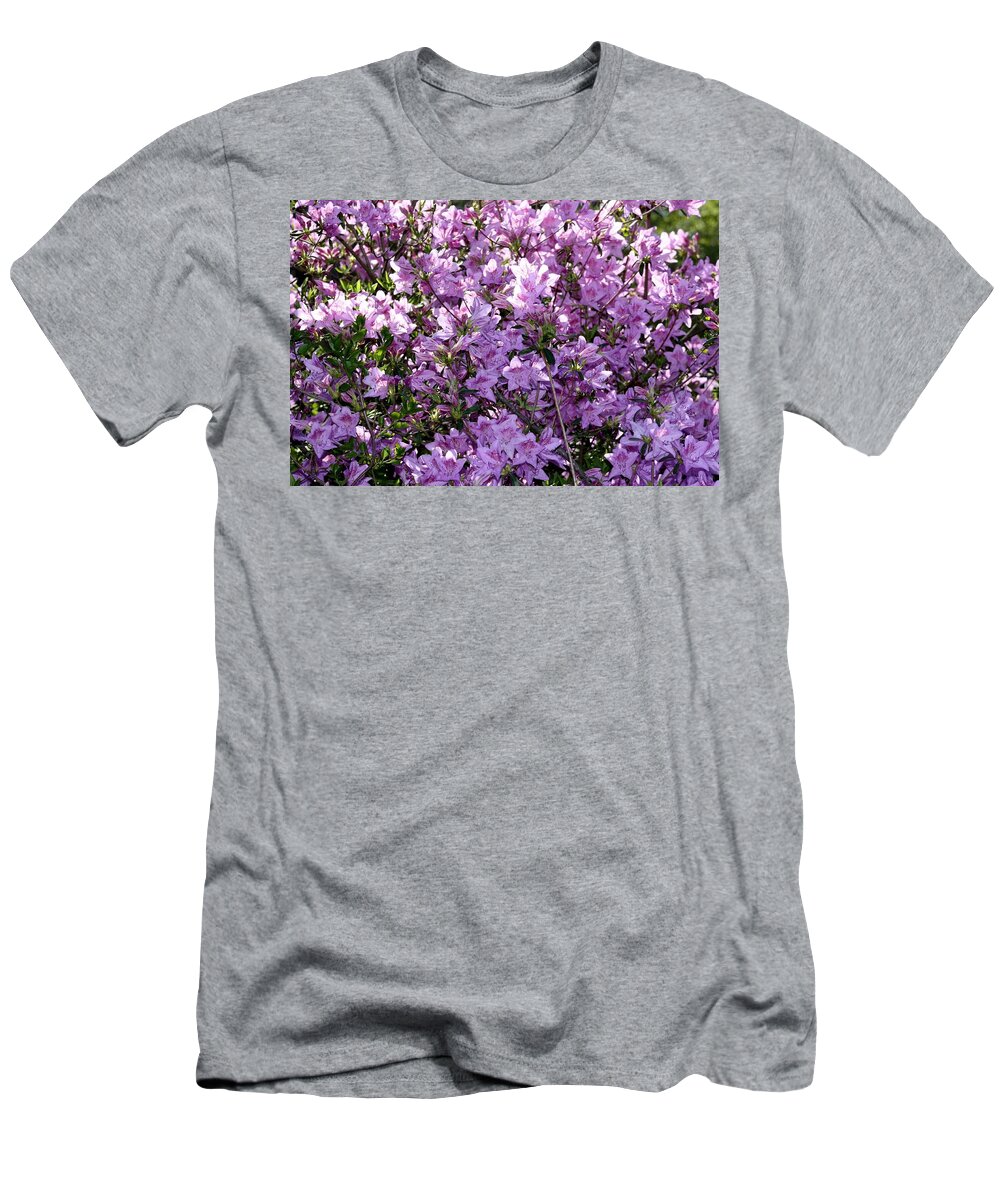 Purple Flower Shrub T-Shirt featuring the photograph Purple Purple Every Where by Kim Galluzzo