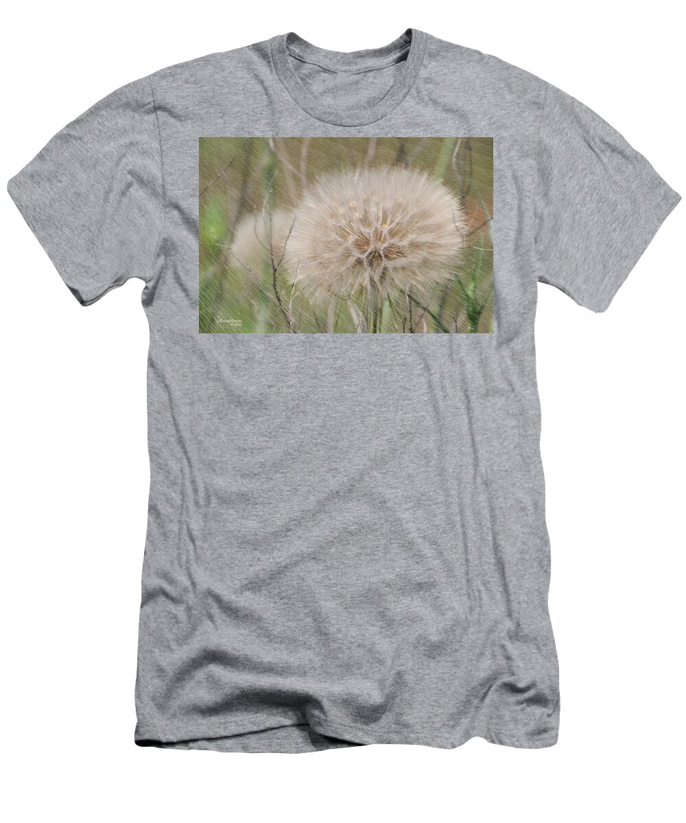 Dandelion T-Shirt featuring the photograph Ready For That Wish by Ericamaxine Price
