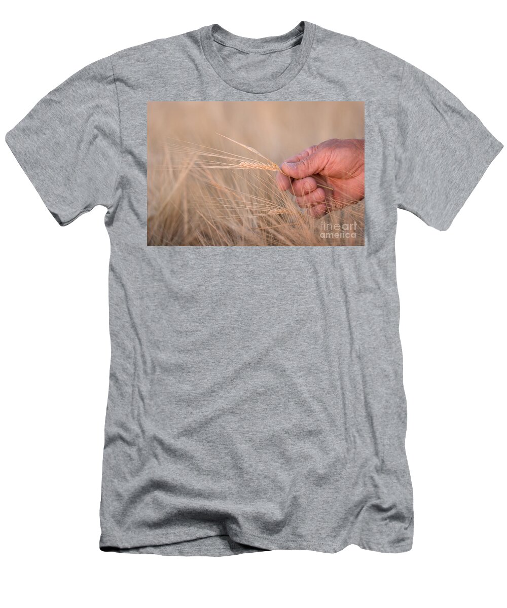 Agriculture T-Shirt featuring the photograph Ready to Harvest by Cindy Singleton