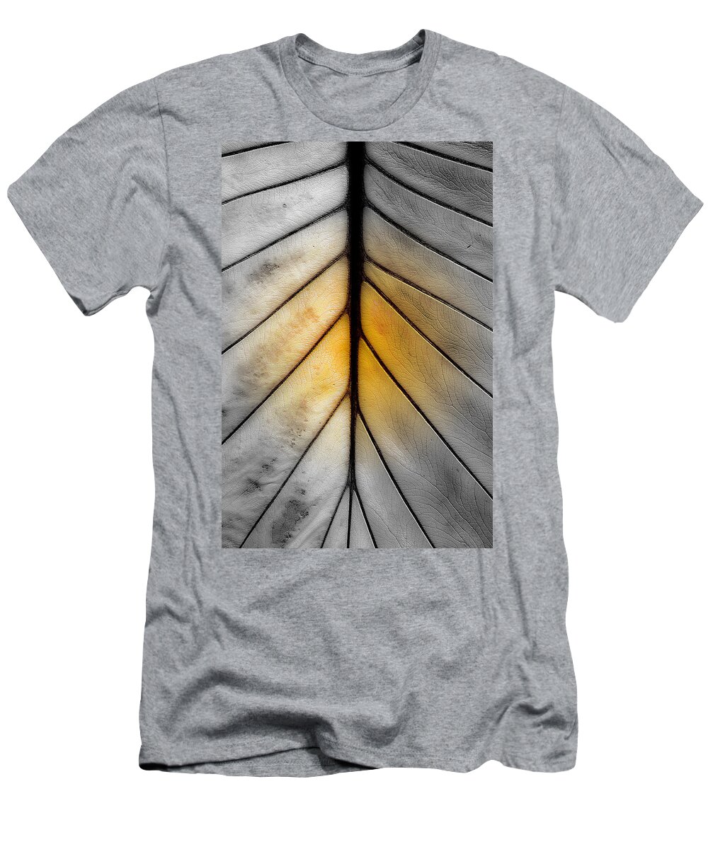 Leaf T-Shirt featuring the photograph Ribs by Marie Jamieson