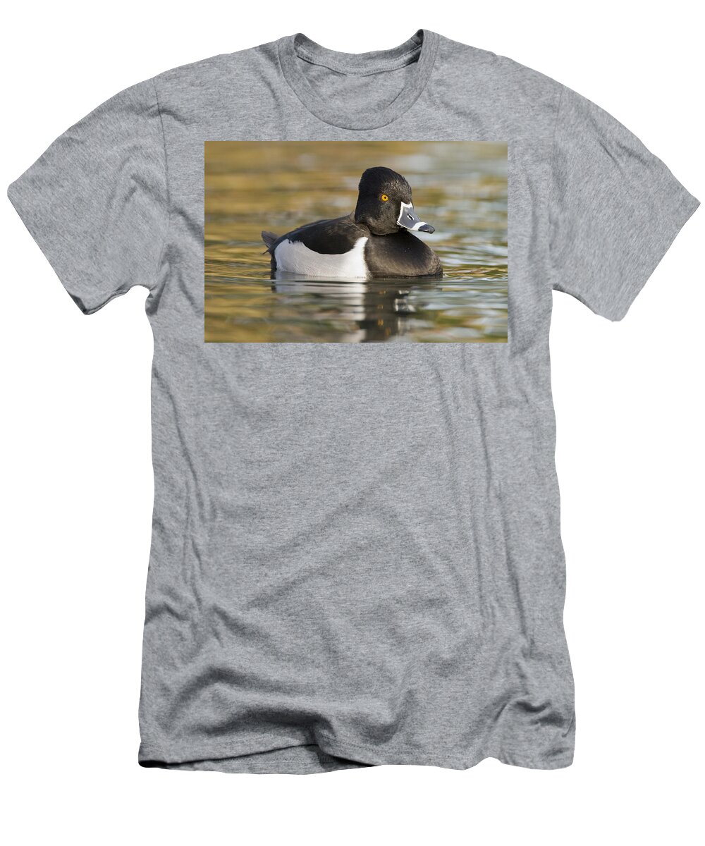 00439362 T-Shirt featuring the photograph Ring Necked Duck Drake In Breeding by Sebastian Kennerknecht