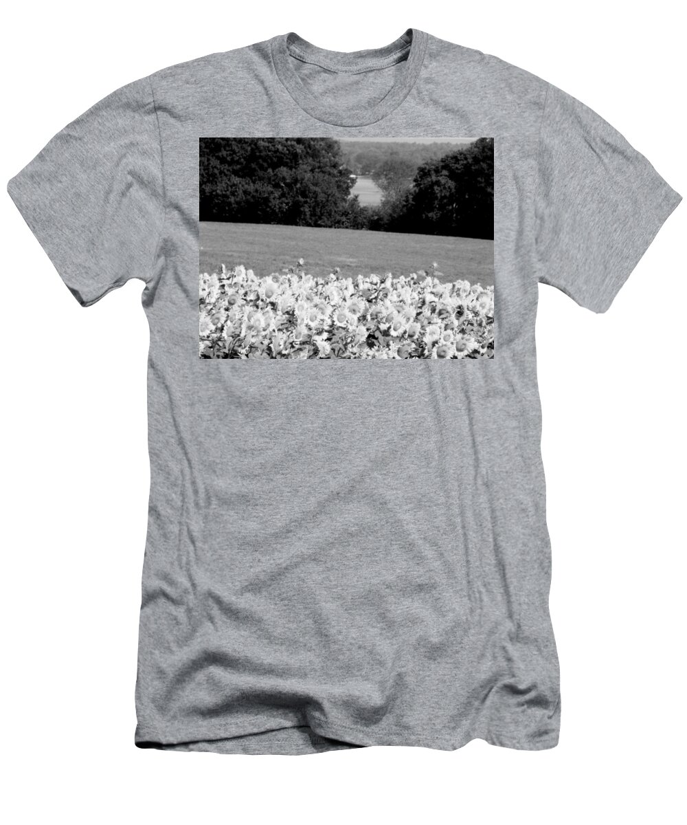 Sunflowers T-Shirt featuring the photograph Rolling hill of sunflowers water and trees by Kim Galluzzo