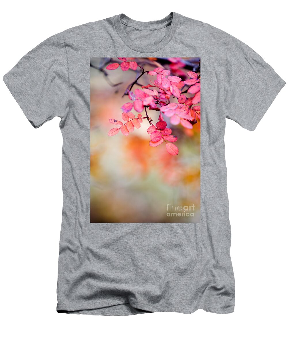 Autumn T-Shirt featuring the photograph Rose in autumn by Kati Finell