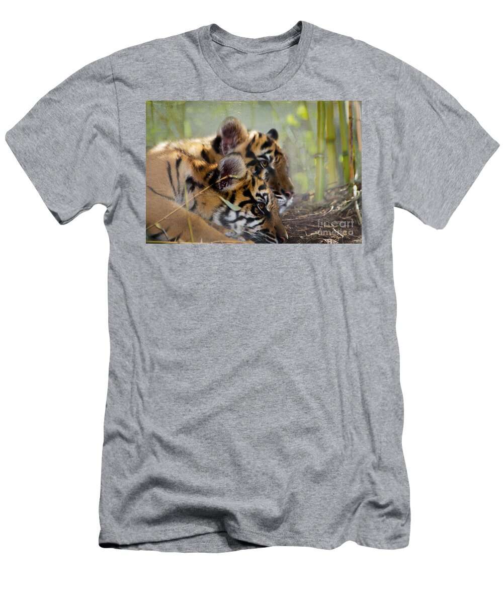 Samatran Tiger T-Shirt featuring the photograph Samatran Tiger Cubs by Betty LaRue