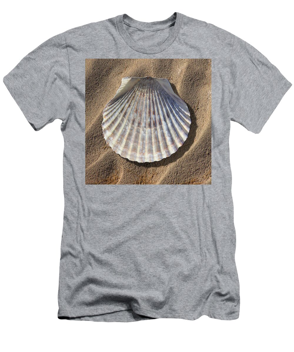 Sea Shell T-Shirt featuring the photograph Sea Shell 2 by Mike McGlothlen