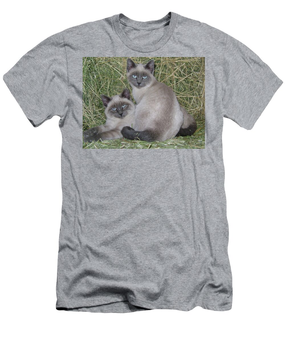 Cat T-Shirt featuring the photograph Siamese Haystack by Charles and Melisa Morrison