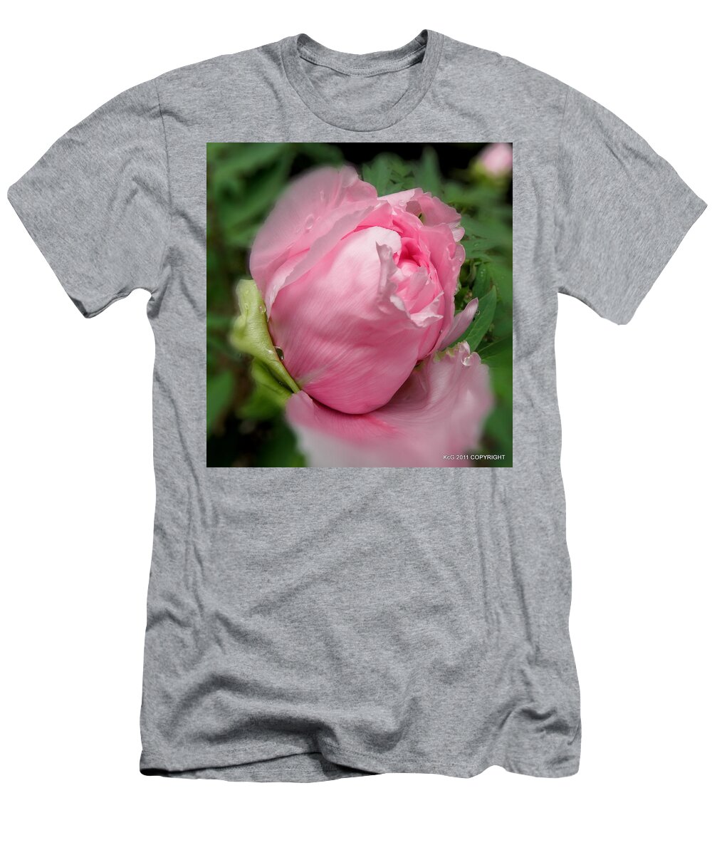 Pink T-Shirt featuring the photograph Soft Beauty by Kim Galluzzo