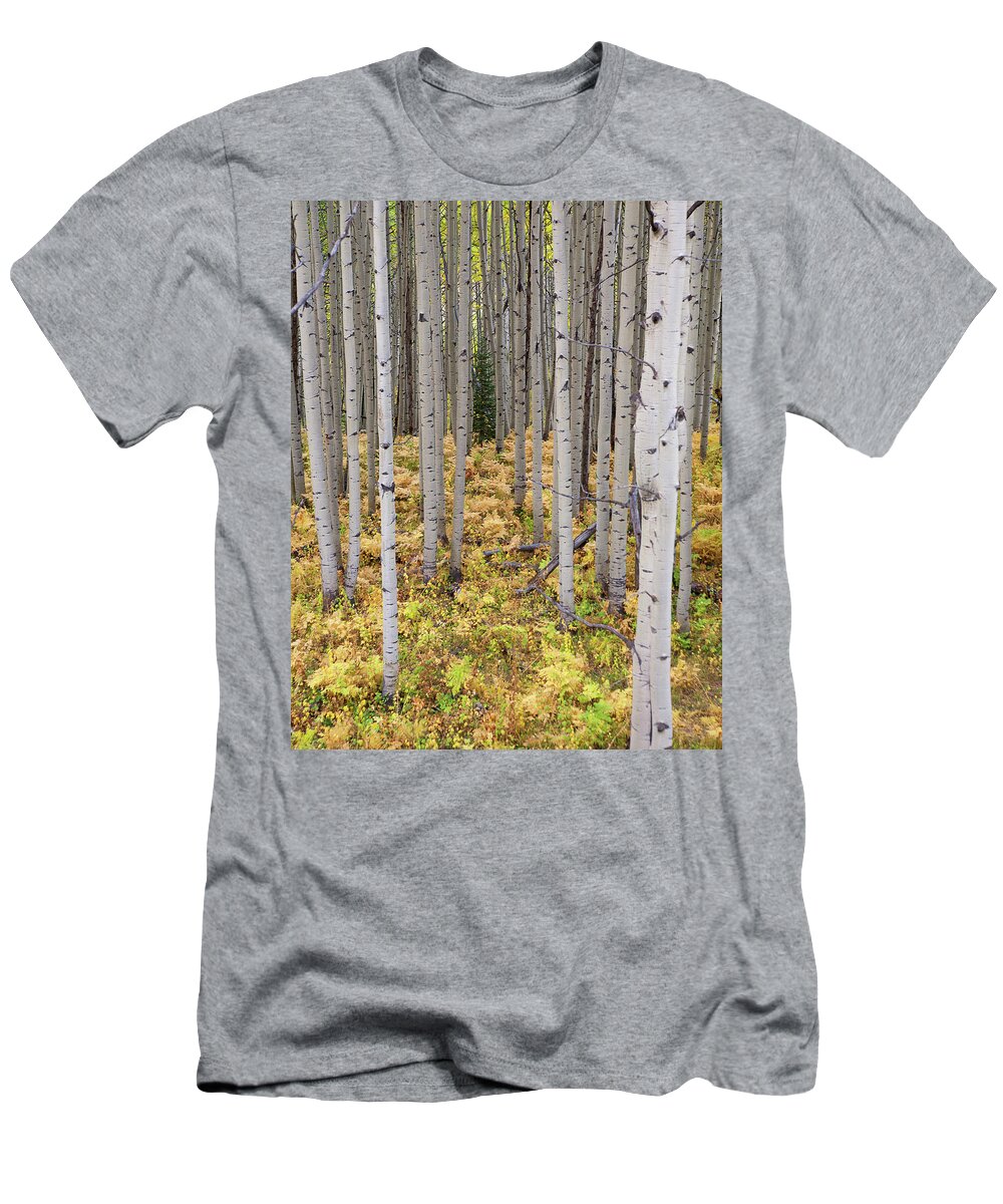 Autumn Colors Photograph T-Shirt featuring the photograph Something Different by Jim Garrison