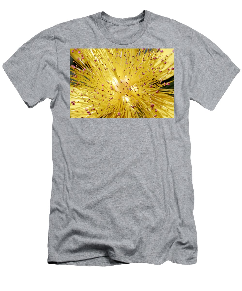 Flowers T-Shirt featuring the photograph Sons of Light by Munir Alawi