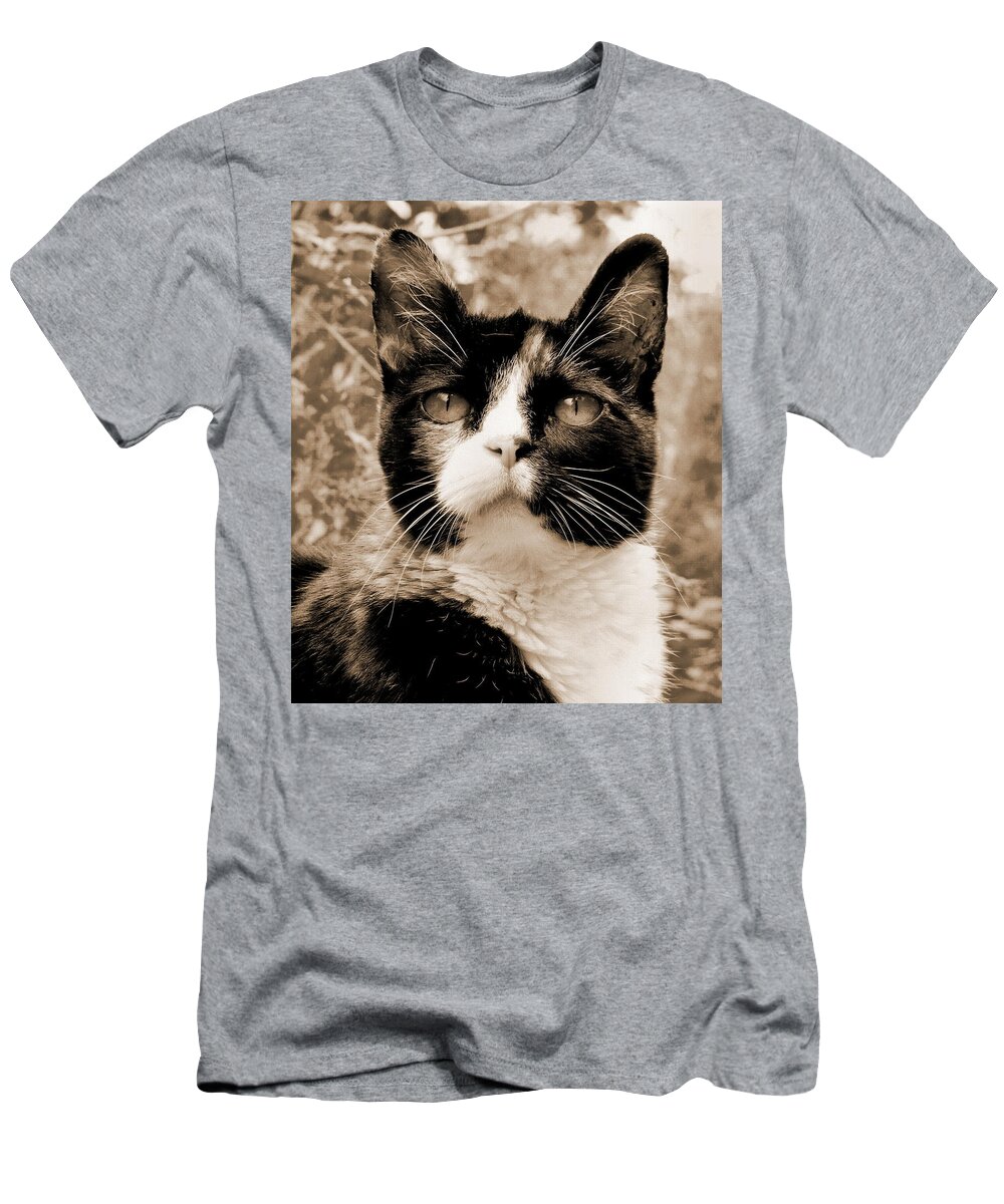 Cat T-Shirt featuring the photograph Souls Great and Small 2 by Rory Siegel