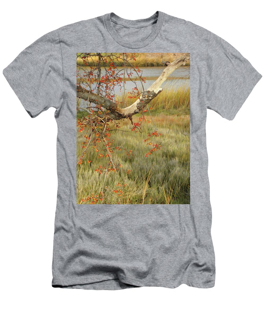 Winter T-Shirt featuring the photograph Splash Of Color by Kim Galluzzo