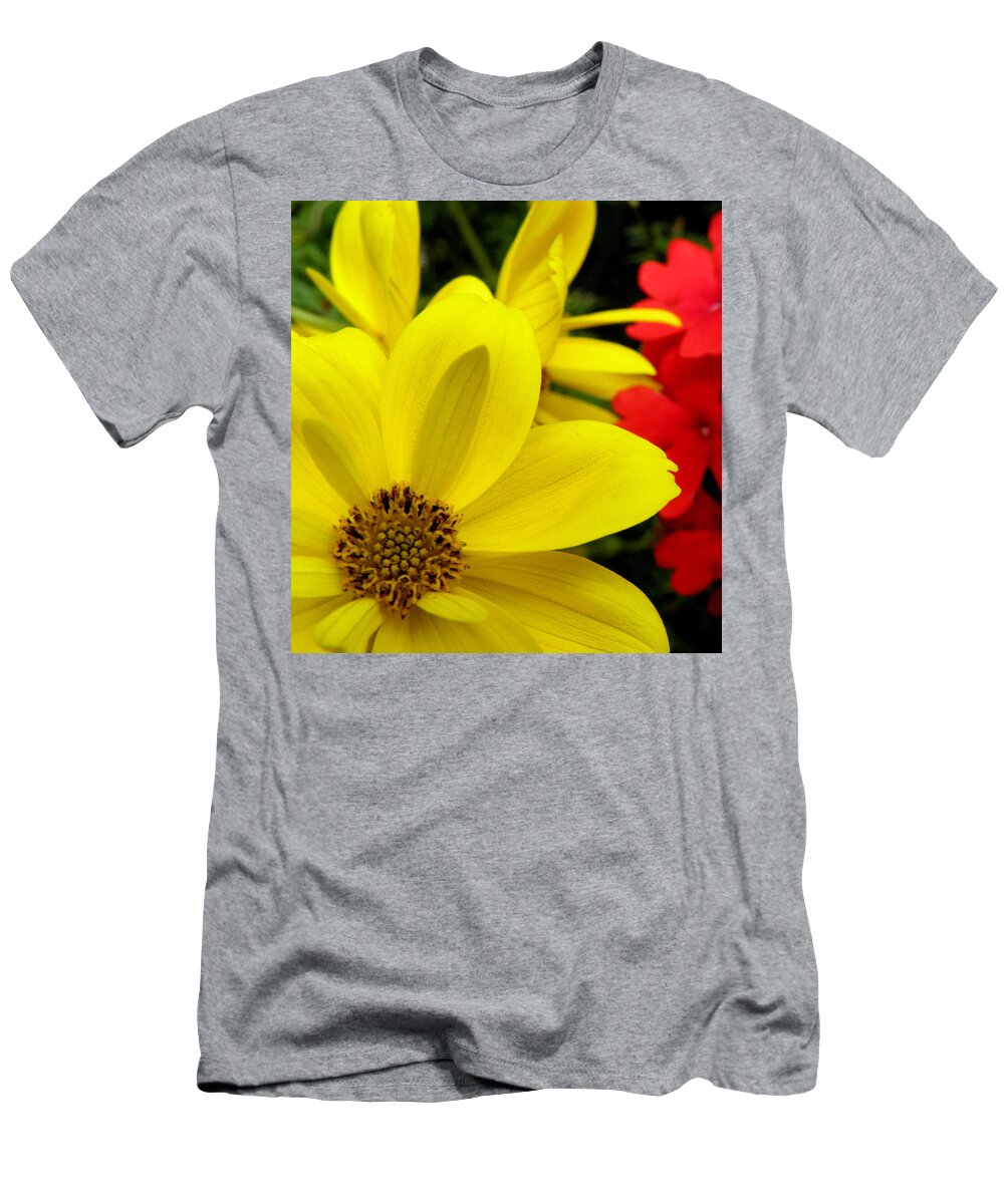 Yellow Flower T-Shirt featuring the photograph Spring Has Sprung by Kim Galluzzo Wozniak