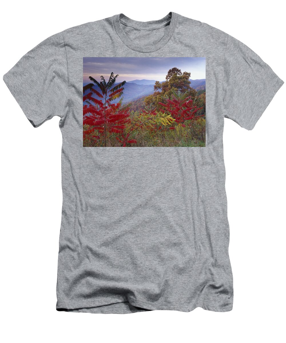 00173688 T-Shirt featuring the photograph Staghorn Sumac In Autumn Blue Ridge by Tim Fitzharris