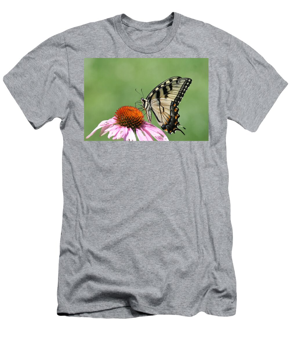  T-Shirt featuring the photograph 'Swallowtail on Euchinacea' by PJQandFriends Photography