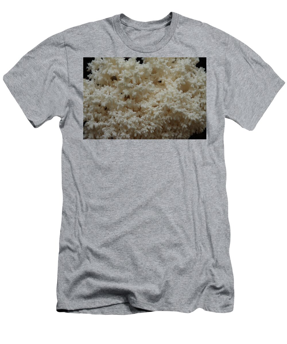 Hericium Coralloides T-Shirt featuring the photograph Tooth Fungus by Daniel Reed
